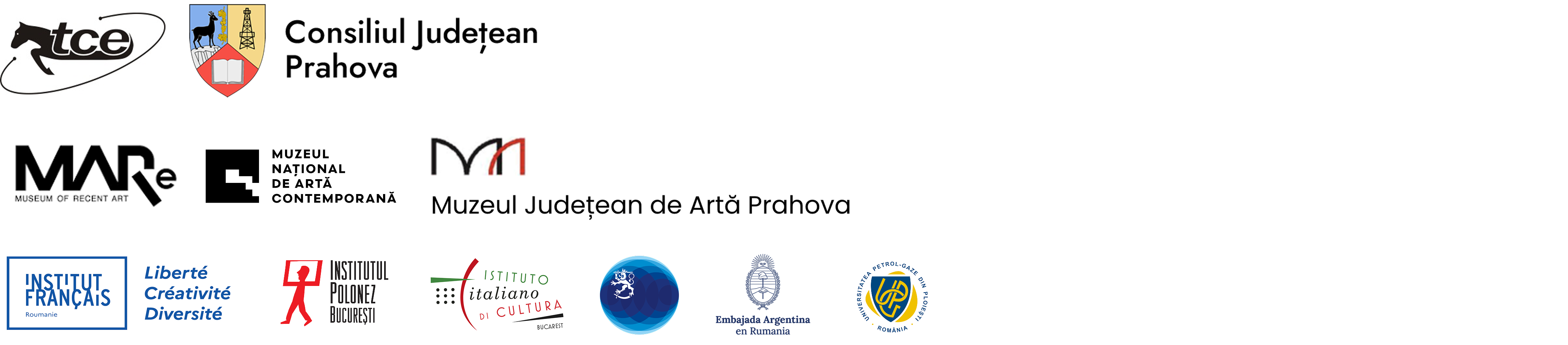 Parteneri instituționali